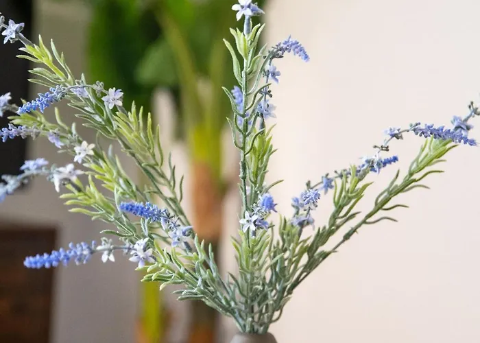 Casa Da Fonte De Cima Capelas